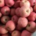万亩红富士苹果产地批发，条纹，全红红富士苹果