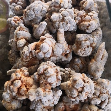 特价一天，云南文山三七，可以免费磨粉压片，