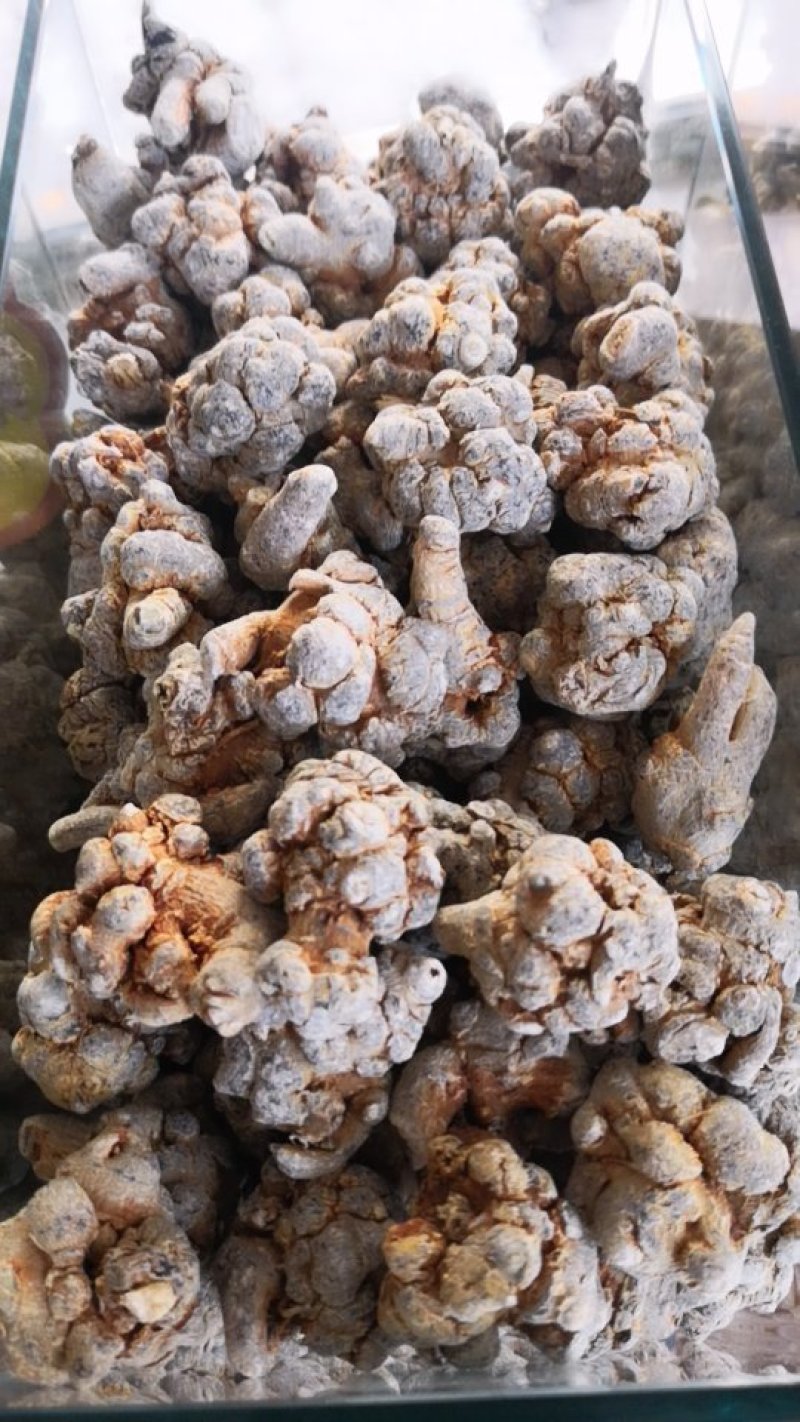 特价一天，云南文山三七，可以免费磨粉压片，