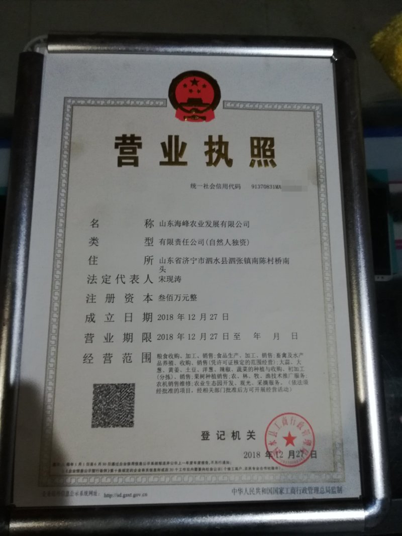 山东省济宁泗水县优质长白大葱，大量上市，万亩产地