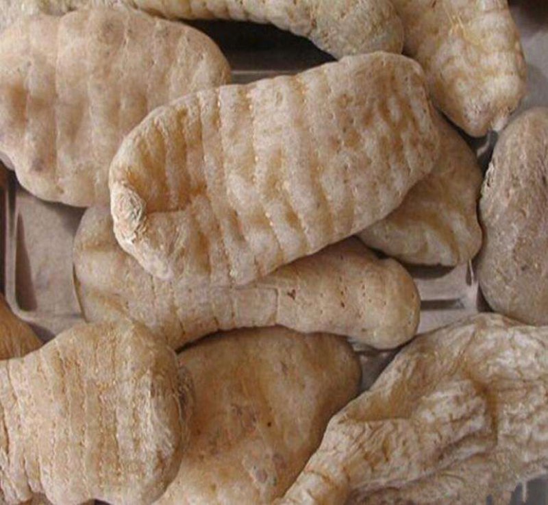 天麻，红菇等特产
