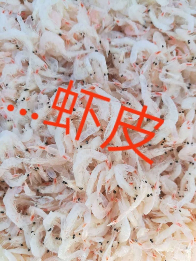 低盐淡干当地虾皮
