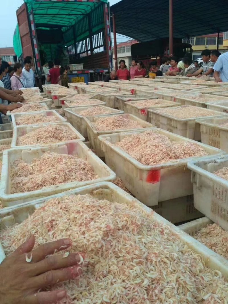 低盐淡干当地虾皮