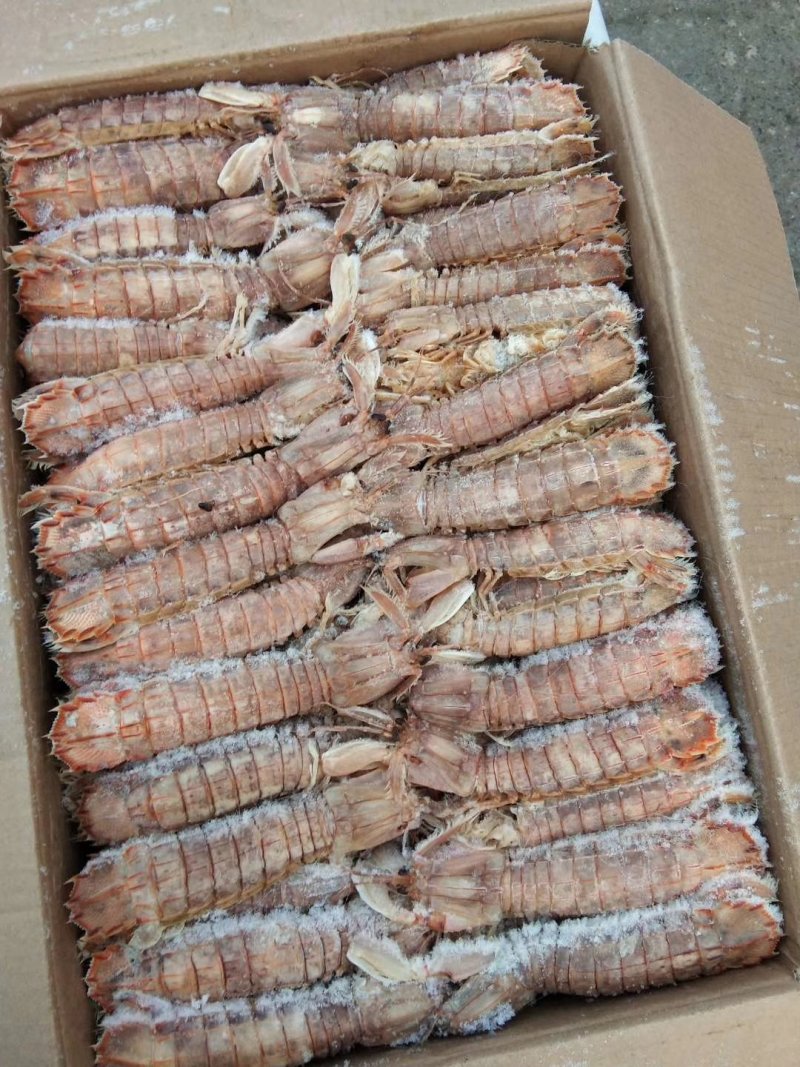 当地琵琶虾