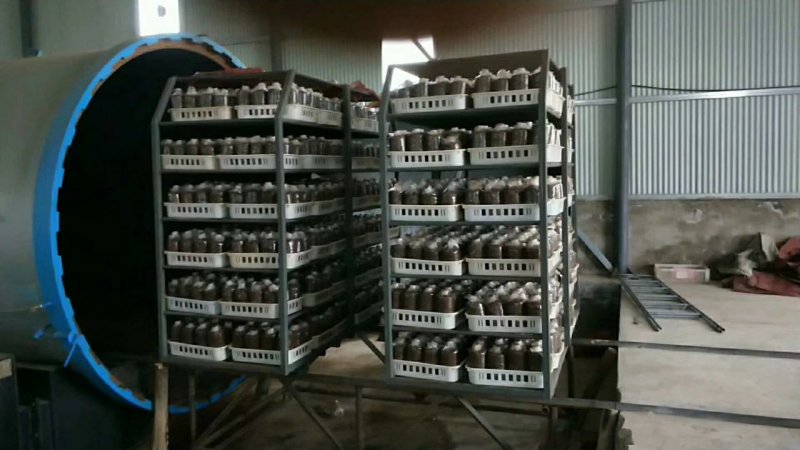 公司诚招做平菇的技术员一名