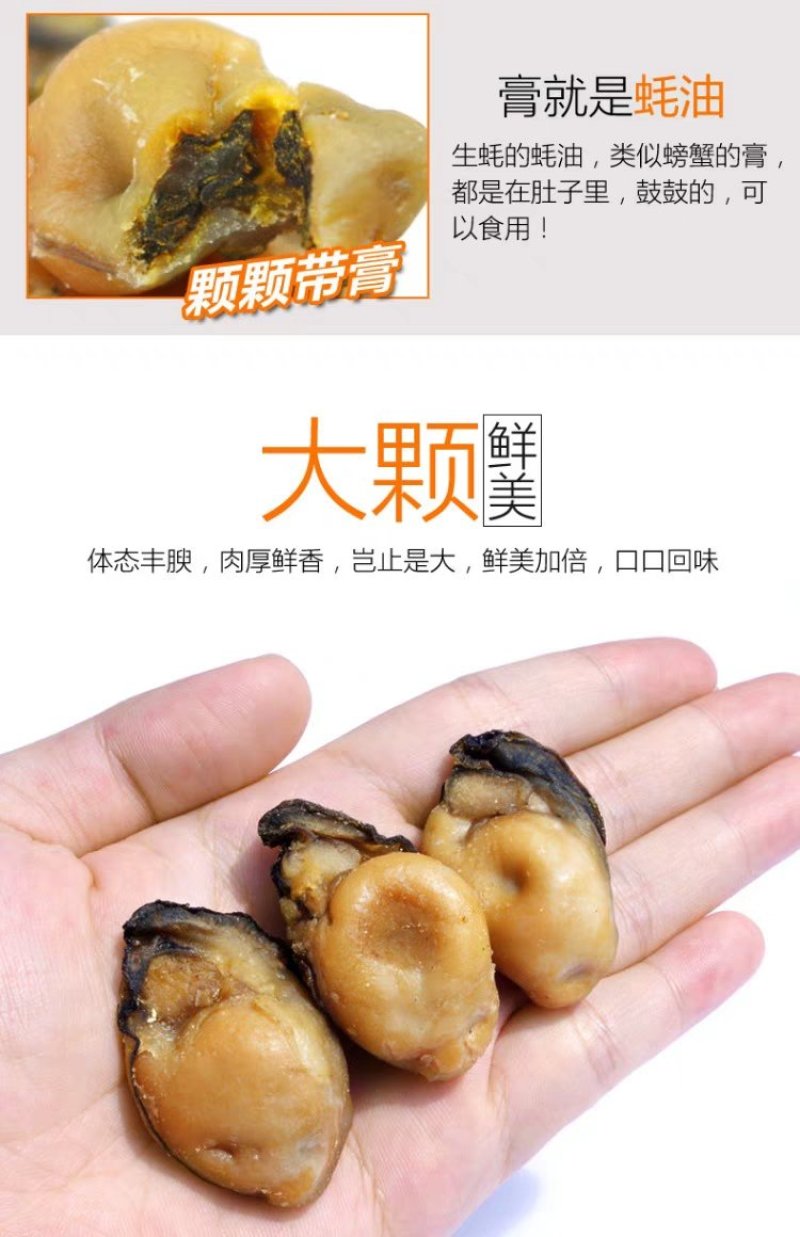 天然淡晒中小生蚝肉干规180/210头规格一斤一包包邮