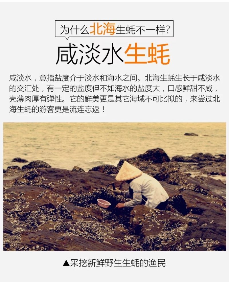 天然淡晒中小生蚝肉干规180/210头规格一斤一包包邮