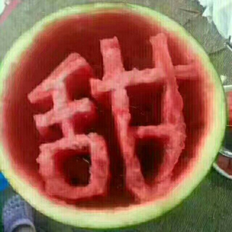 济宁精品美都西瓜大量上市！红瓤薄皮糖度高全国代收代发