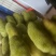 海南菠萝蜜，20斤起点，一件代发，包邮128元，支持空运
