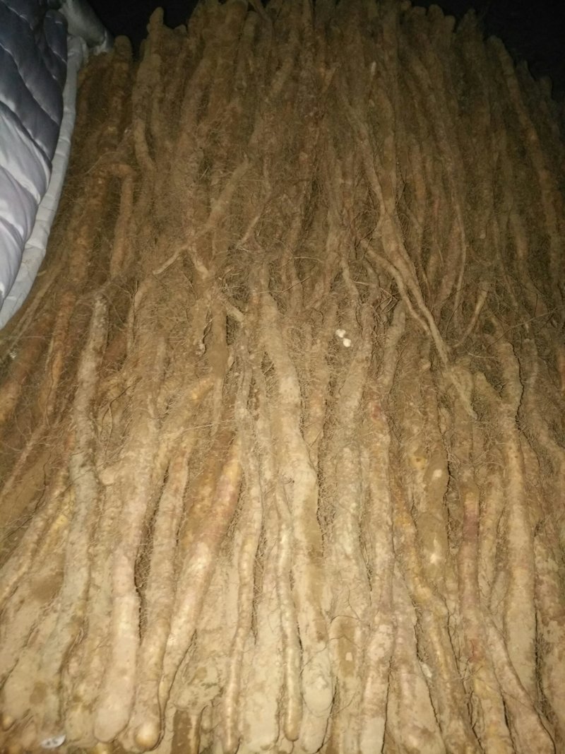卢土地铁棍山