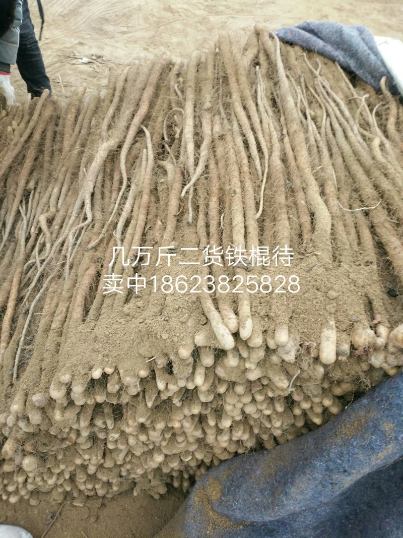 卢土地铁棍山