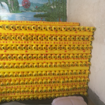 大蒜专用地膜