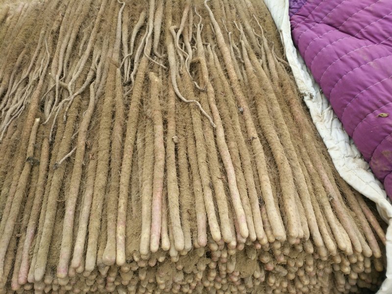 卢土地铁棍山