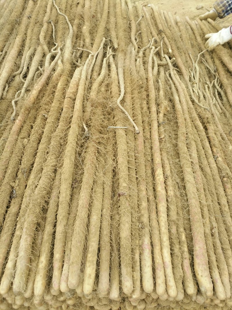 卢土地铁棍山