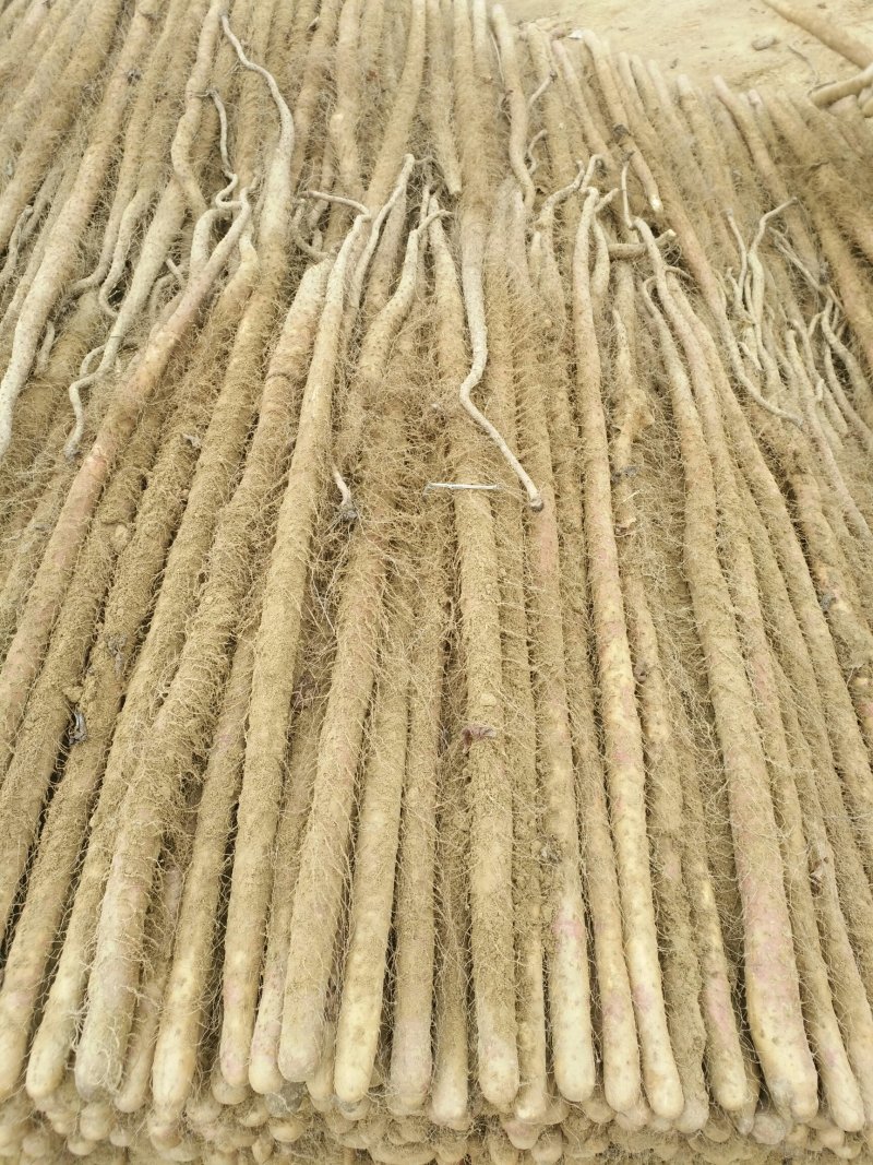 卢土地铁棍山