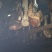 大家好，我专销土产品，销有，腊肉，腊牛肉，腊排骨，腊猪