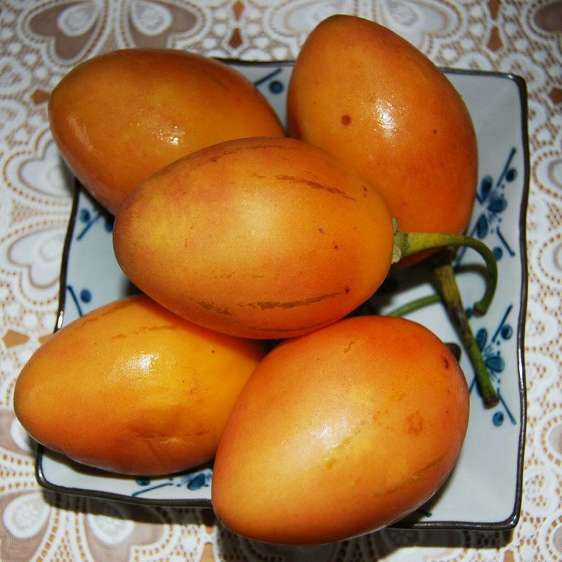 新鲜树蕃茄，1斤装，包邮