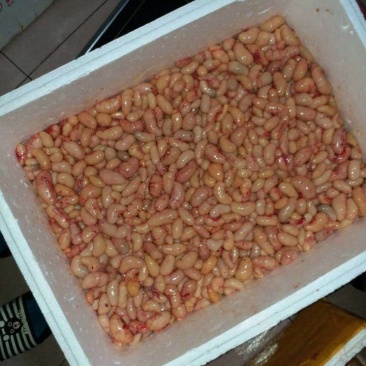 80颗粒的鸡腰