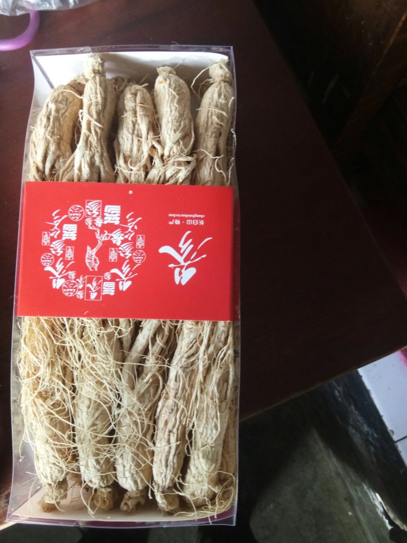 人参