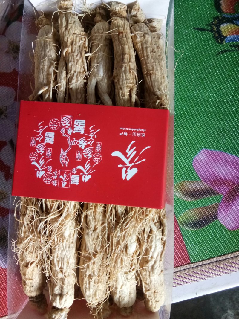 人参