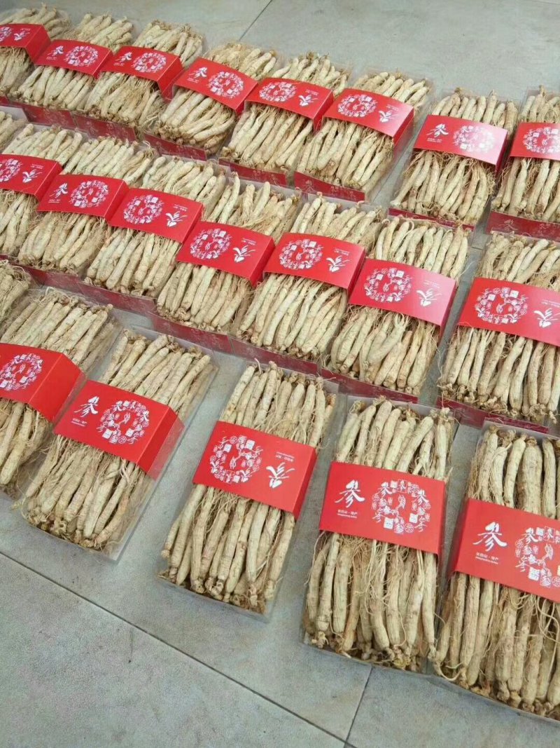 人参