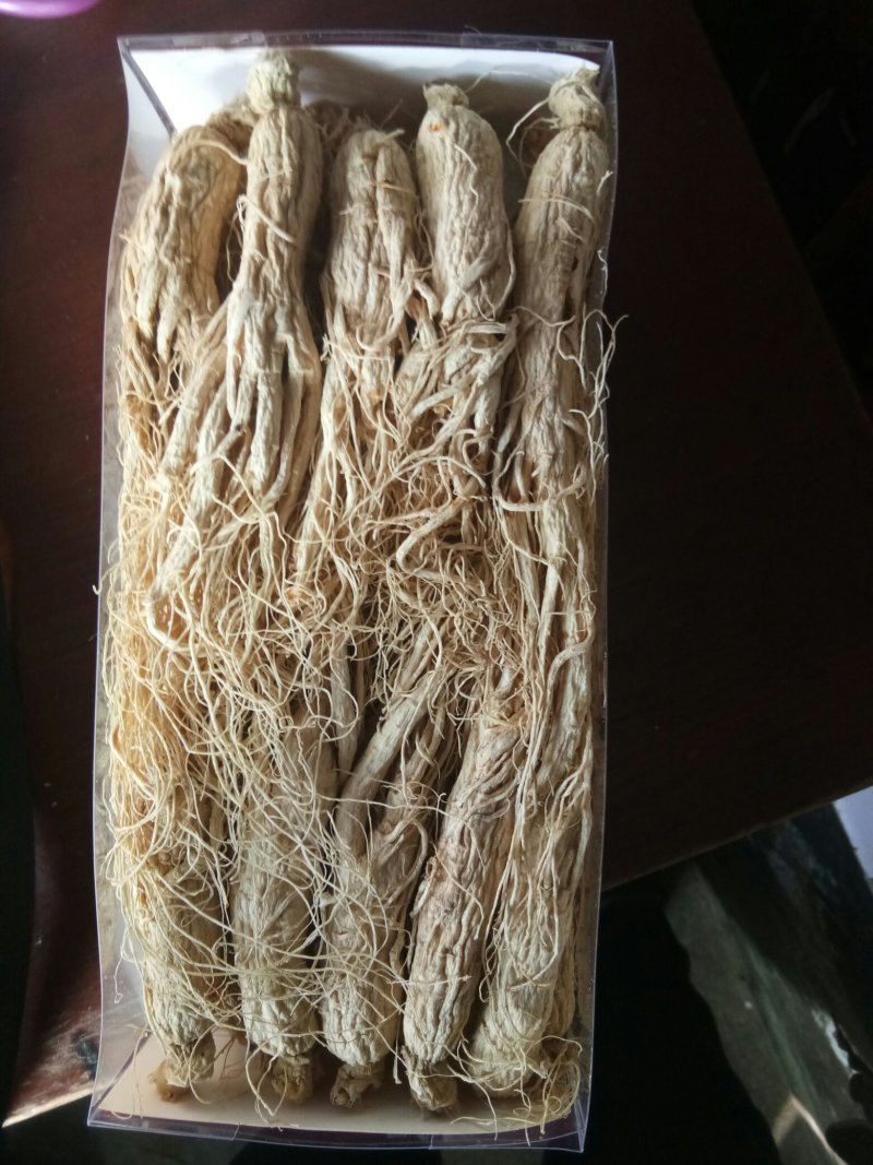 人参