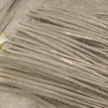 山药铁棍山药九斤黄山药白玉等