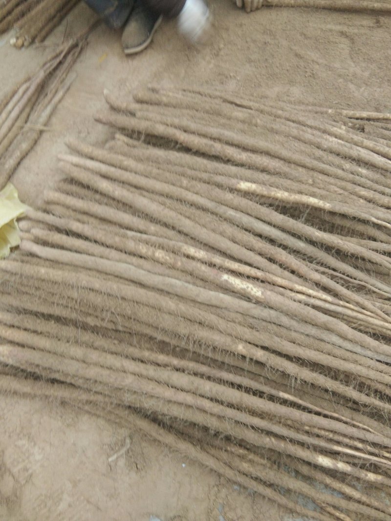 山药铁棍山药九斤黄山药白玉等