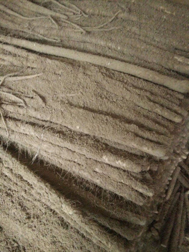 山药铁棍山药九斤黄山药白玉等