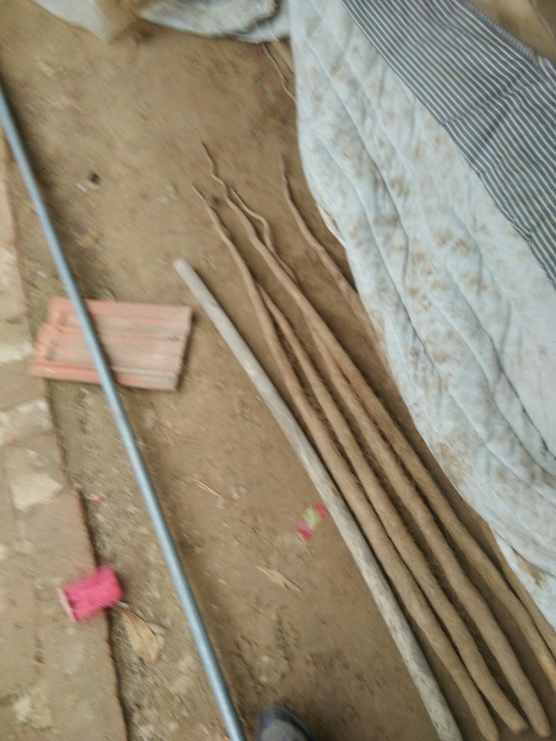 山药铁棍山药九斤黄山药白玉等