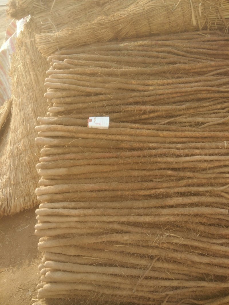 山药铁棍山药九斤黄山药白玉等