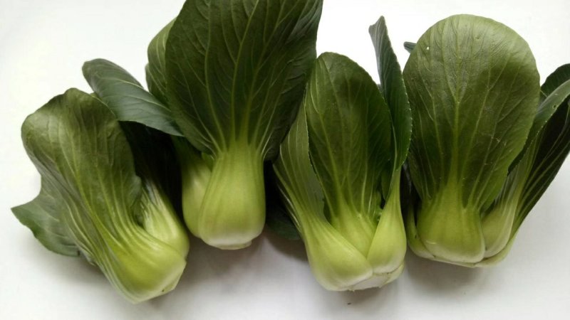 (精品上海青矮脚菜)大量上市，150亩种植，可批发