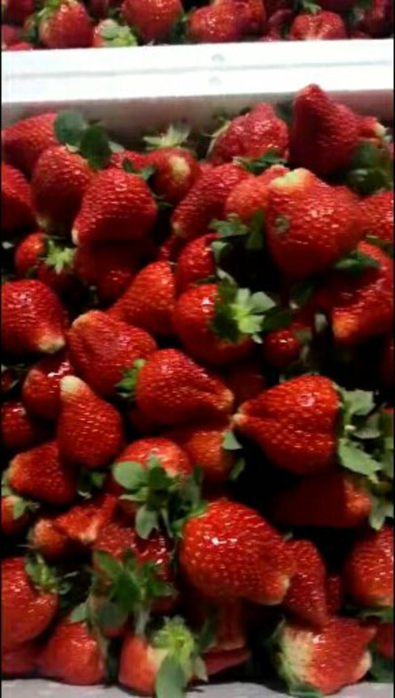 甜查理草莓