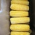 厂家直销速冻玉米，速冻豆角，船冻青鱼等