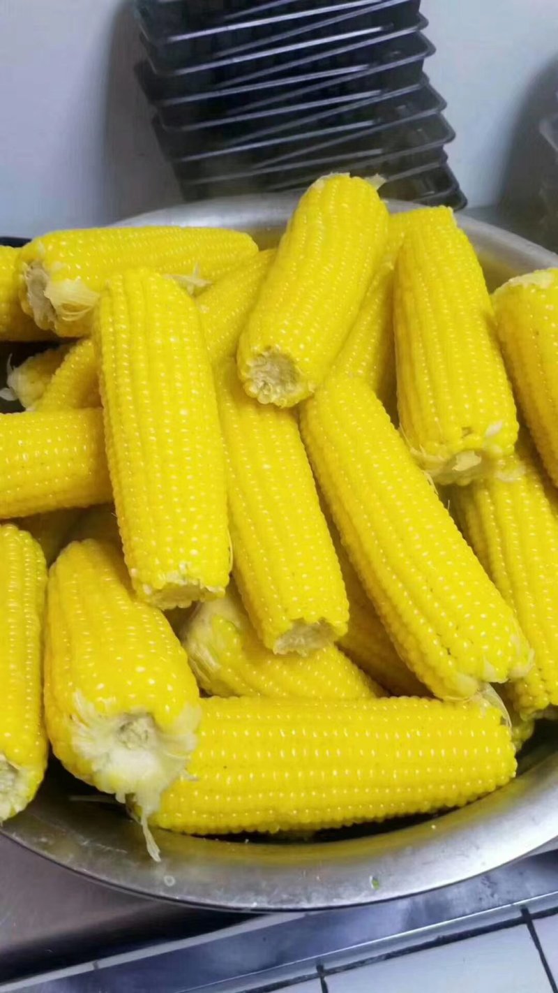 厂家直销速冻玉米，速冻豆角，船冻青鱼等
