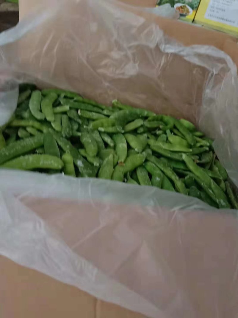 厂家直销速冻玉米，速冻豆角，船冻青鱼等