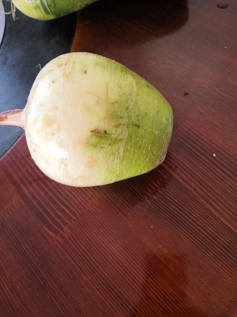 厂家直销速冻玉米，速冻豆角，船冻青鱼等