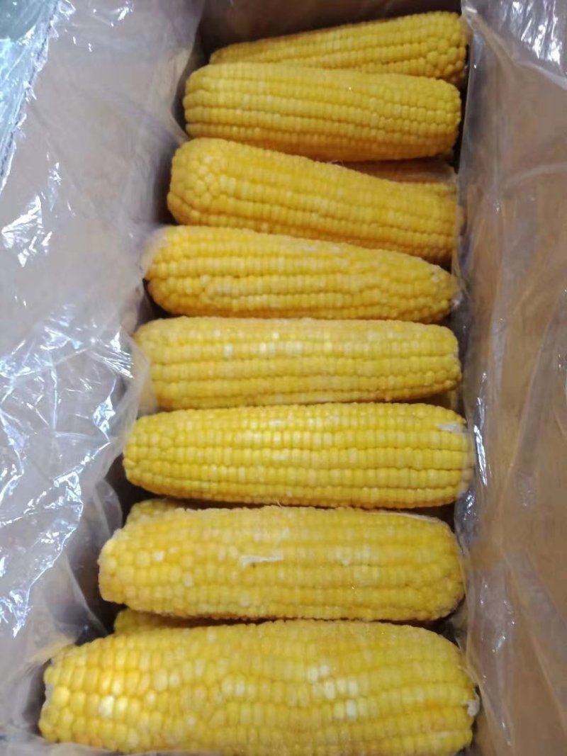 厂家直销速冻玉米，速冻豆角，船冻青鱼等