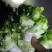 儿菜，2斤左右