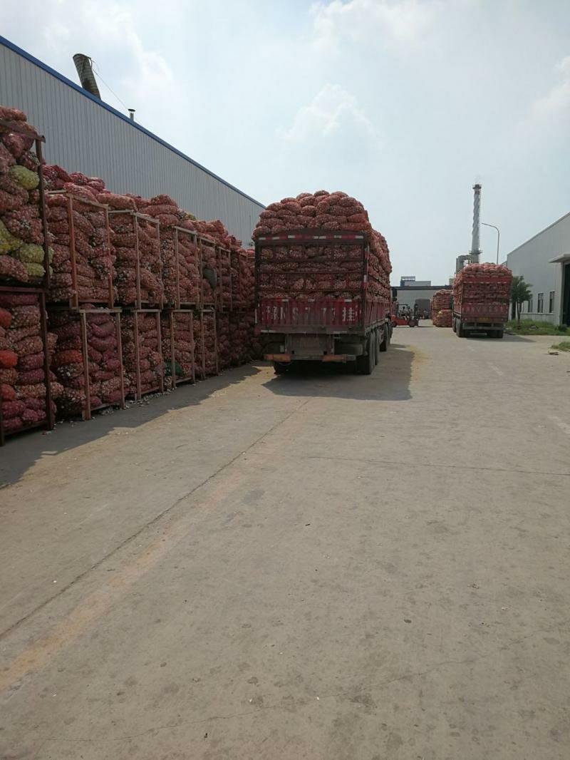 大蒜蒜米、红皮大蒜、蒜米料、电商供应一手货源、产地发货