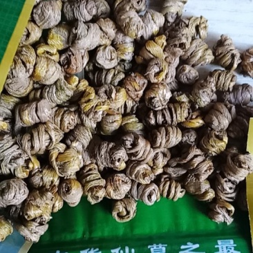 铁皮石斛枫斗石斛批发零售各种规格中药材批发