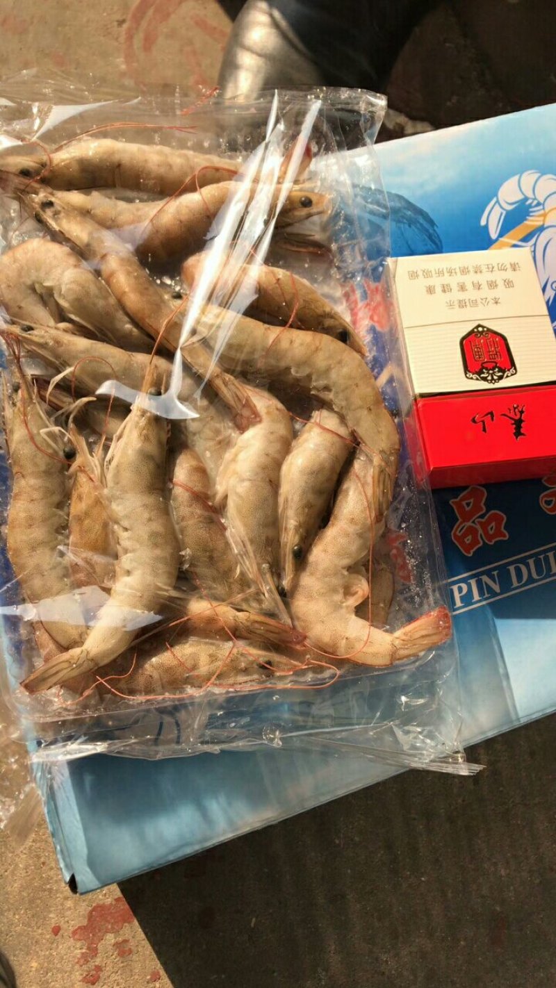南美白虾