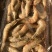 南美白虾