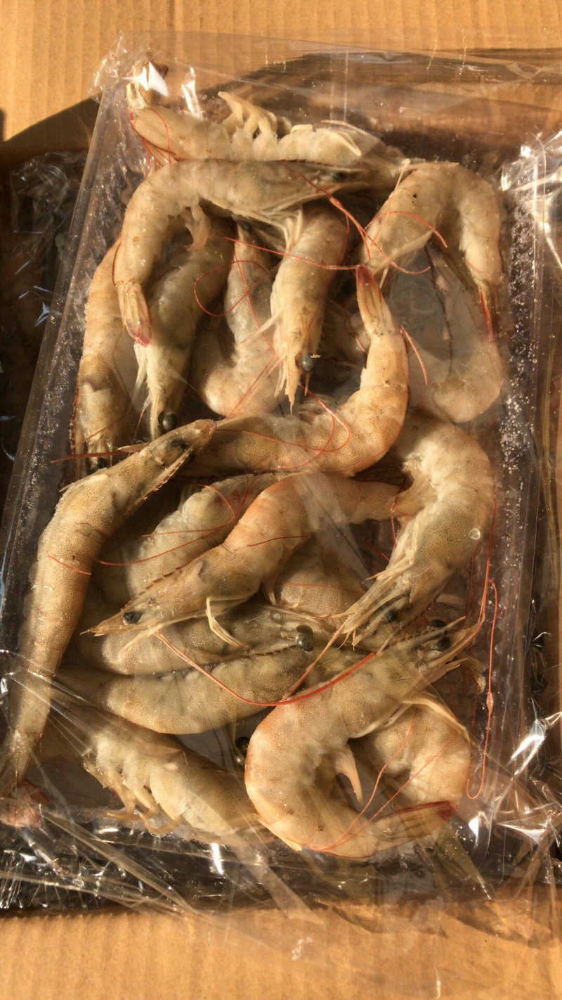 南美白虾