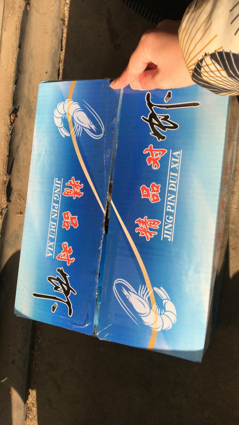 南美白虾