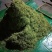 金银花，金银花树，金银花苗，枸杞树，红梅，杏树！