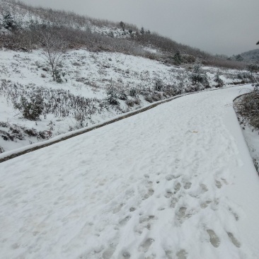 荒山120亩，免租金。