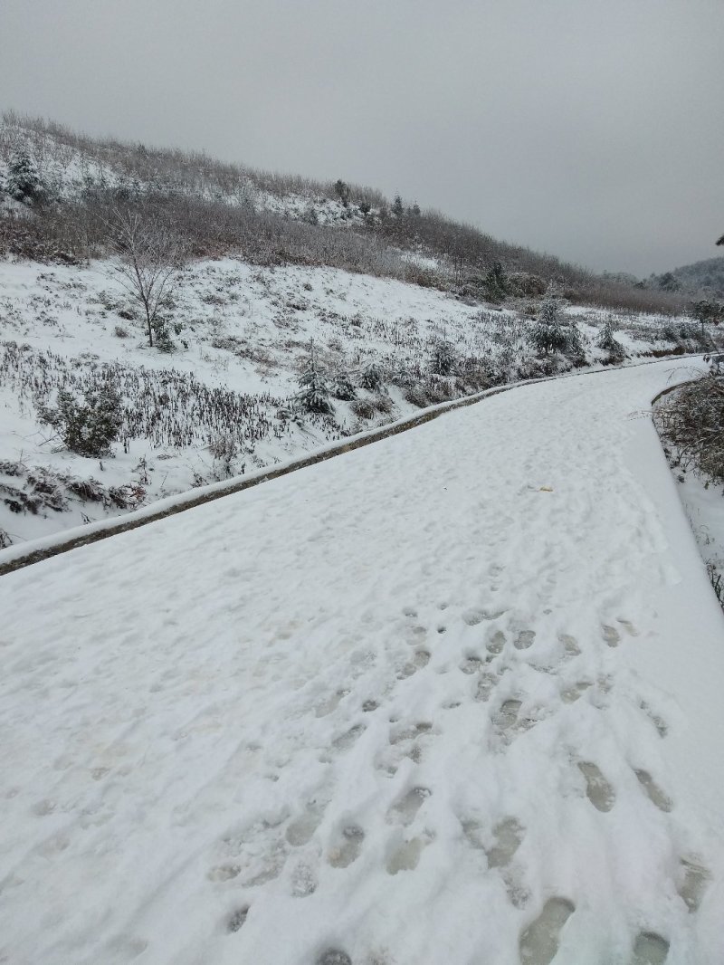 荒山120亩，免租金。