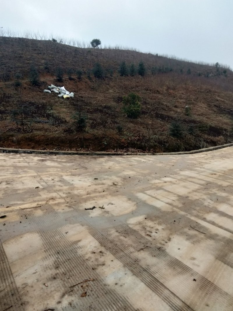 荒山120亩，免租金。