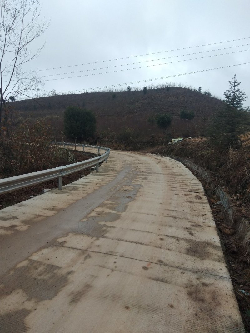 荒山
